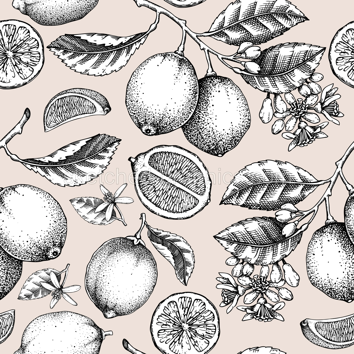 Lime fruit seamless pattern. Citrus fruit sketches. Botanical background. Exotic plants texture. Hand drawn vector illustration. NOT AI generated Illustration
